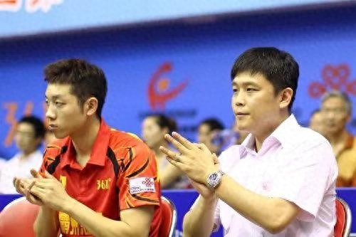 許昕什么地方人,在哪定居,許昕個(gè)人簡介
