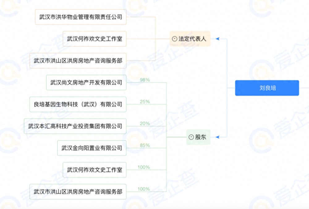 武漢三鎮(zhèn)足球隊最新消息,武漢三鎮(zhèn)足球隊老板是誰